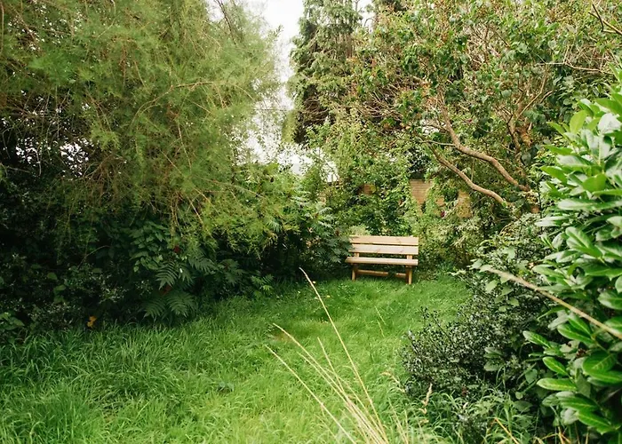 Chesterfield - Friendly Two-bedroom With Leafy Garden & Parking Holiday home