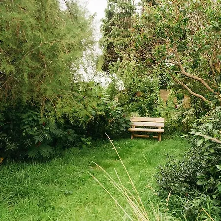 Chesterfield - Friendly Two-bedroom With Leafy Garden & Parking 別荘